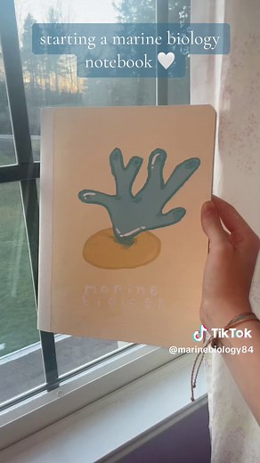 Creative Ways to Decorate Your Marine Biology Notebook