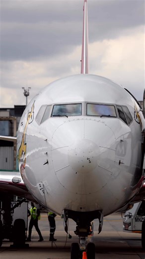 Experience the joy of travel with FlySafair, affordable flights, unforgettable adventures, and a vibe that takes you further 🩷 | FlySafair