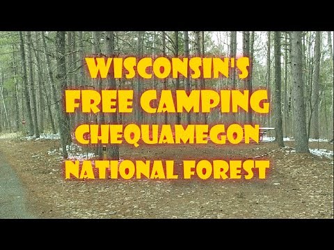 Wisconsin's Free Camping Chequamegon National Forest