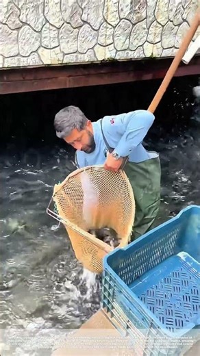 Trawling for Gold: The Simple Genius of Hand-Held Fishing