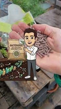 Pourquoi j'ai mis 800 KG de FOIN dans mon potager ?