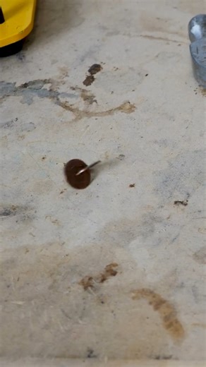 This shape meanders instead of rolls | The Action Lab