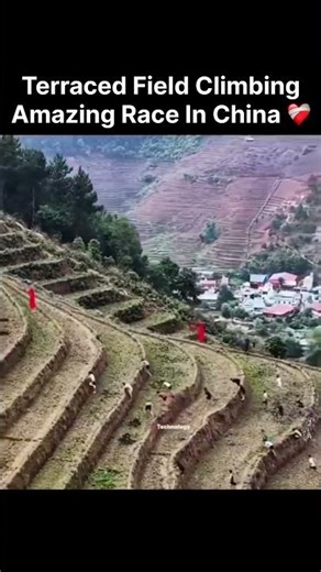 Terraced Field Climbing Amazing Race In China 🇨🇳