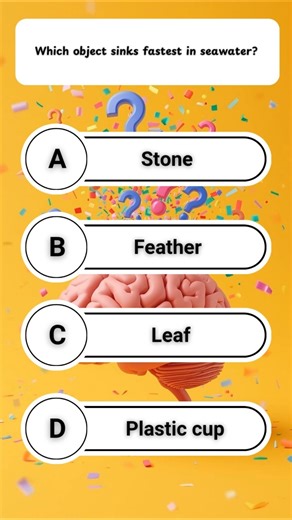 Which one sinks fastest in the sea? 🌊🧠 Guess quickly!