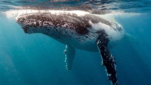 Shoalhaven: Wonderful wild adventures