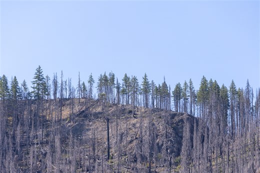 Oregon appeals court hands big victory to PacifiCorp in wildfire class action suit
