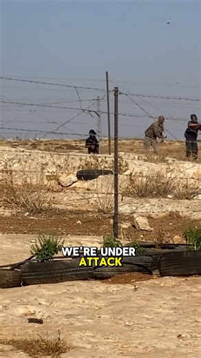 Andrey X on Instagram: "NOW: Israeli settlers attack Susya Another settler attack in the village of Susya in the West Bank. The settlers showered the residents and their property with stones; several residents were injured, and one was evacuated to the hospital. Similar attacks have been occurring in Susya on an almost daily basis recently. Three days ago, a resident of Susya was struck in her abdomen by a stone thrown by a settler, causing internal bleeding and leaving her hospitalized until th
