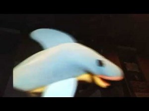 The magic flute baby Mozart dolphin