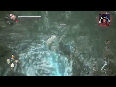 jogando Nioh2 no ps4 escreva se no canal pra da uma fotalecida no canal #lucianogomesdacilva