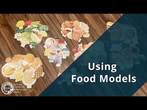Using Food Models