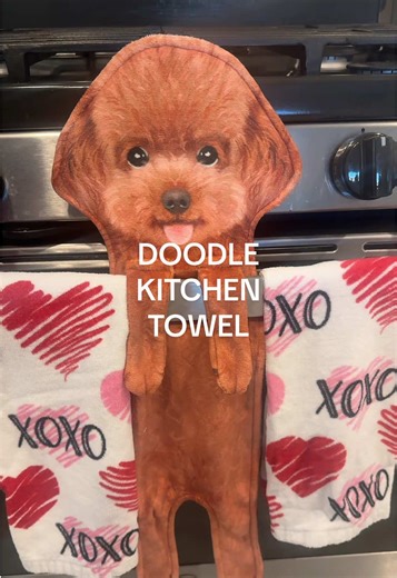 The Cuteness of Mini Goldendoodles: A Guide for Dog Parents