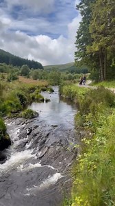 Die Wanderwege des 📍 Hafren Forest 🌳 in Mittelwales haben nicht nur Flora und Fauna zu bieten, sondern auch einige kleine Wasserfälle 😍 Zudem ist der 800m lange Cascades Walk sogar behindertengerecht ausgebaut 👏🏼 Mehr dazu 👉🏼 https://tinyurl.com/4a9depvp | Wales Entdecken