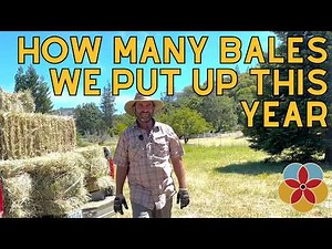 How We Grow & Harvest Hay on Our Small Farm