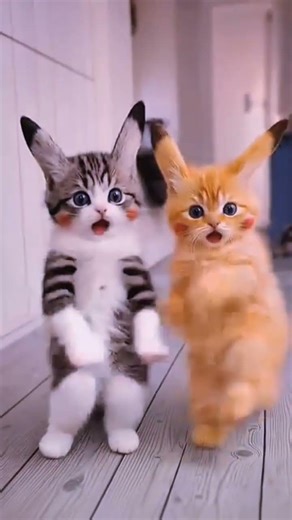 Creating some funny videos using artificial intelligence.