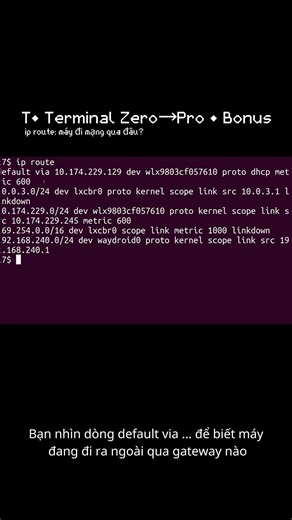 T• ip route: máy sẽ đi mạng qua cổng nào? | Bonus (Terminal Zero→Pro) #ubuntu #terminal #code #linux