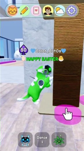 how to my cat os,s are scratching