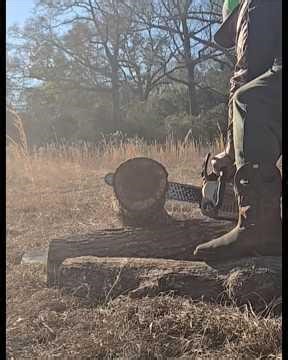 Ported 201tc 16" Oregon speed cut nano with west coast muffler!!