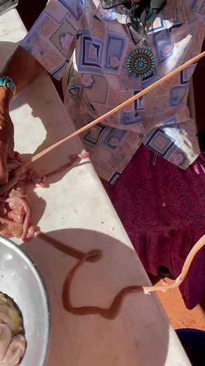 Wrapping Áchii’ 🤤 #navajo #navajotiktok #navajonation #navajostrong #nativeamerican #nativetiktok #nativetiktoks #grandma #love #elder #food #culture #tradition