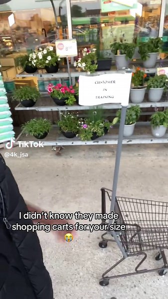 Shopping Carts Designed for Convenience