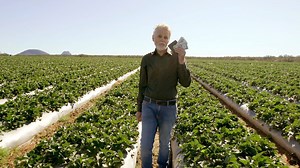 ¿Te gusta el papeleo y la burocracia? ¿Te gusta completar formularios por triplicado solo para hacer las cosas más simples en tu campo? No! A nosotros tampoco. Nosotros sabemos - El único papel que vale la pena es aquel que guardas en tu billetera. La única moneda que vale es la confianza. | Rivulis Irrigation