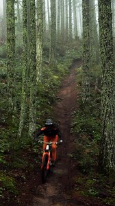 More Seth Sherlock Why not!!! 🎥 @matthew.tongue e*thirteen components | INTENSE Factory Racing