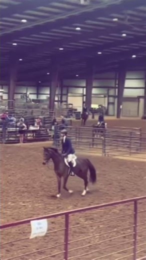 So proud of Claire yesterday! Hunter warm up 🥉 2’6 hunter over fence 🥇flat - 4th