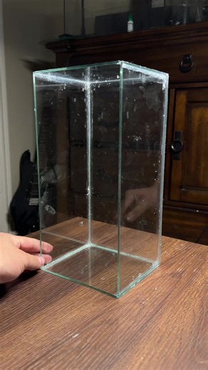 How to Cut a 2.5 Gallon Tank in Half for a DIY Paludarium