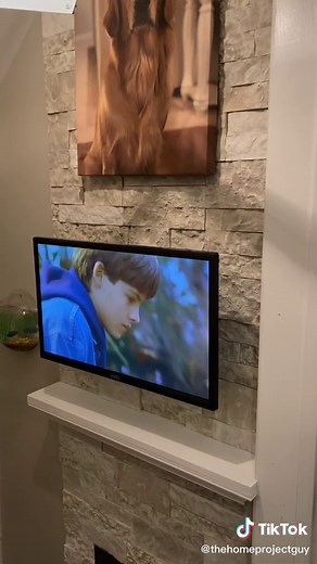DIY Dog House Under Stairs: Creative Home for Your Golden Retriever
