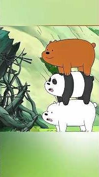 „Die Bärenleiter des Schicksals“ 🪜🐻‍❄️🐼🐻#shorts