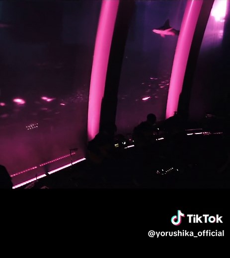 ヨルシカ 春泥棒 ライブ - 前世 メンバーの情報と衣装