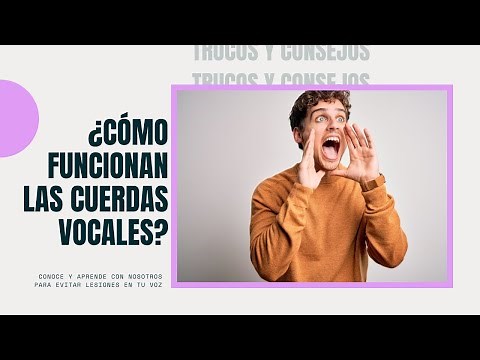 How do the vocal cords work? | CIO Health