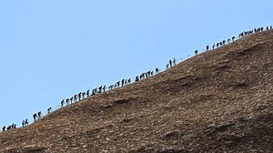 Australia's iconic rock Uluru scaled by final climbers