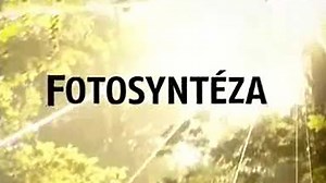Fotosyntéza - ČT edu - Česká televize