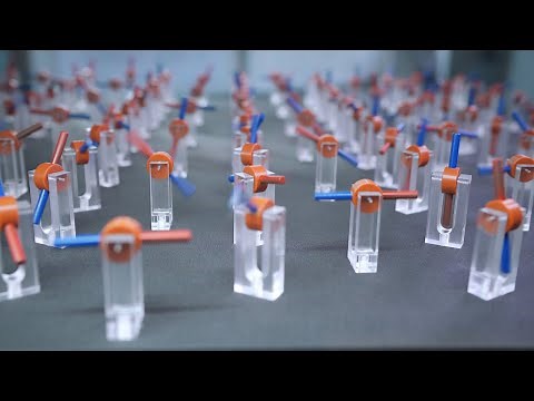 Magnets roll the “dice”: How do frustrated magnets react?