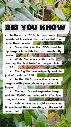 The Dark & Delicious Secrets of Burgers! #facts | Devlop Express