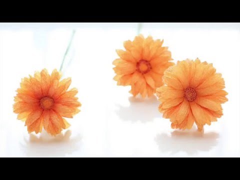 [Crepe paper flowers] Gerbera Daisy [Easy & Simple FULL tutorial] without a Template!!