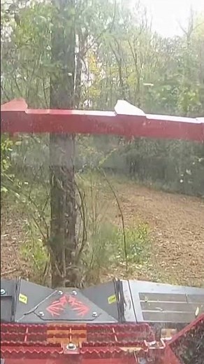 Conquer Land Clearing with the Drum Mulcher