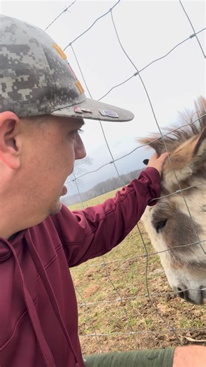 The Fluffy Poodle on Instagram: "We lost a donkey (passed away) and the little donkey is sad! #farm #donkey #kentucky #farmlife #motivefate"