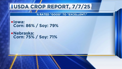 USDA Crop Report 7-8-25