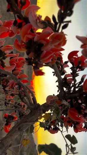 @ kisi Raah ## Me kisi mod pr