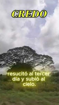 el credo iglesia católica #fe #oración #catolico #biblia #mensaje #amor #canaloraciones #frases