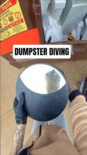 Dumpster diving at the designer furniture store! You wont believe what I found! #free #short