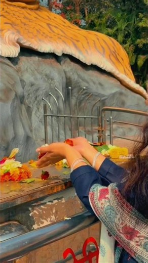 Level Up My Editing Skills? Honest Cinematic Practice Reel