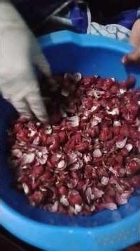 How to prepare high quality and beneficial tea from Chokar, Khailfa, Meseta, and Rosela. #viralvi...