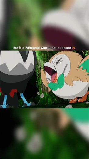 Pokémon Master for a reason 😂 #anime #animeshorts #weeb