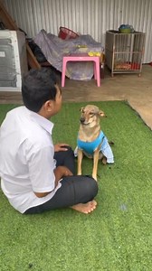 64K views · 2.8K reactions | Danh Hùng on Reels | Facebook