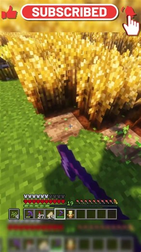 Day 287 of Planting A Seed For Every New Sub