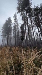 6.2K views · 99 reactions | Do you know that silence that feels...