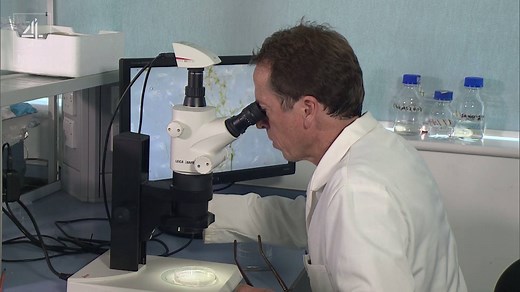 MPs have called for a ban on "microbeads" in bathroom products. Marine experts say the tiny pieces of plastic can damage wildlife and even pass into human cells. | Channel 4 News