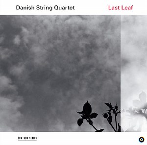 Traditional: The Dromer (Arr. For String Quartet) by Danish String Quartet